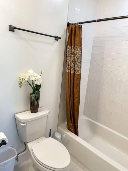 Heart Of Fells Point Luxury Apt Lejlighed Baltimore Eksteriør billede